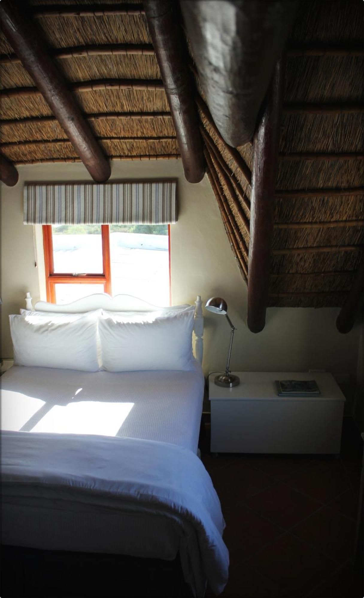 Klokkiebosch Guesthouse Vịnh Vịnh Jacobs Bay Phòng bức ảnh