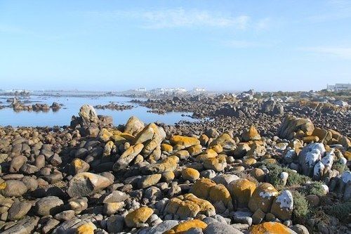 Klokkiebosch Guesthouse Vịnh Vịnh Jacobs Bay Ngoại thất bức ảnh